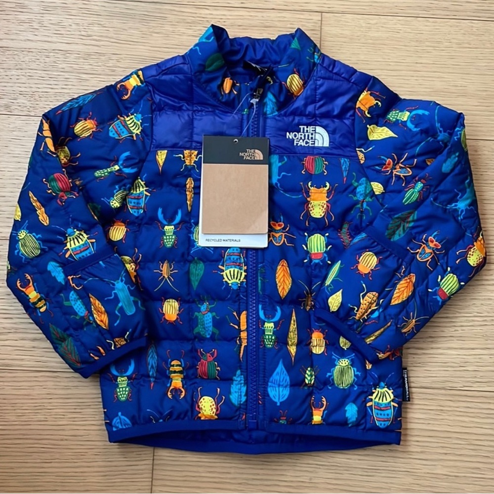 ISO Insect/Bug Northface jacket coat